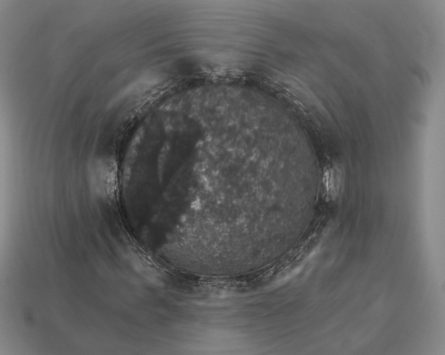 X0000115270963200911131804