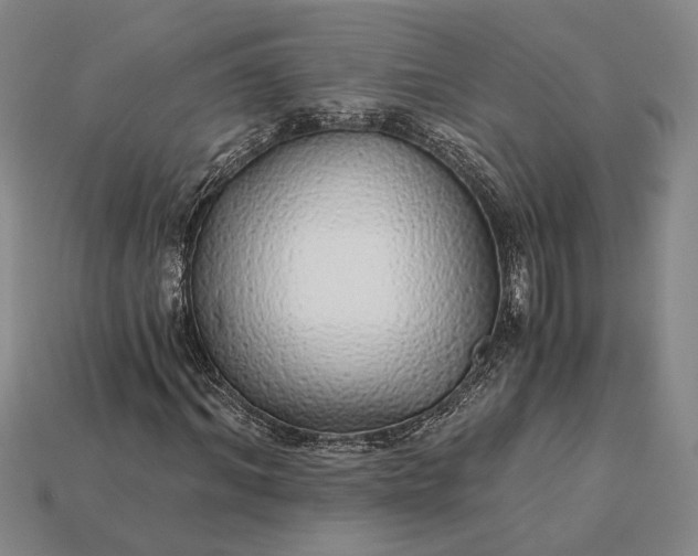 X0000115270964200911131804
