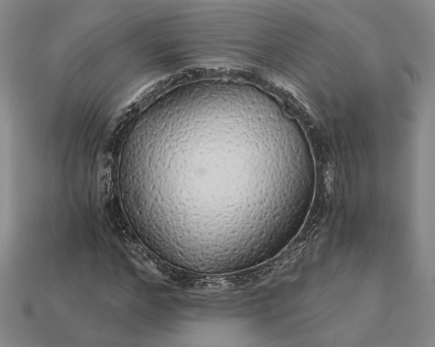 X0000115270968200911131804