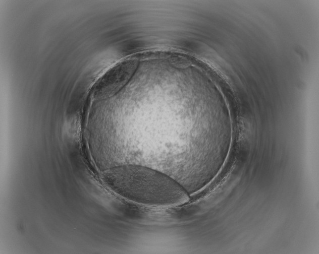 X0000115270969200911131804
