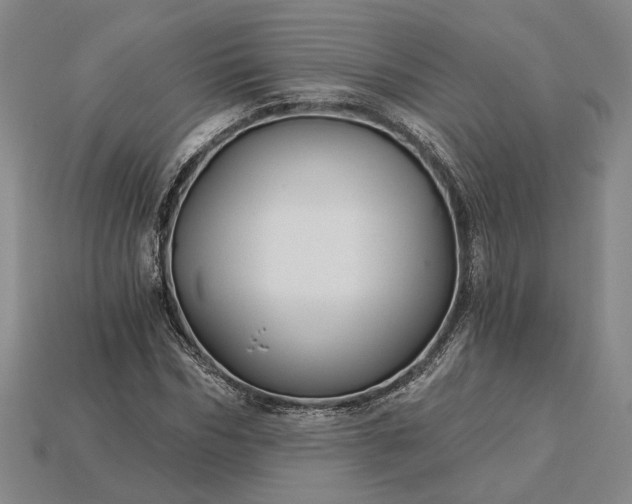 X0000115270970200911131804