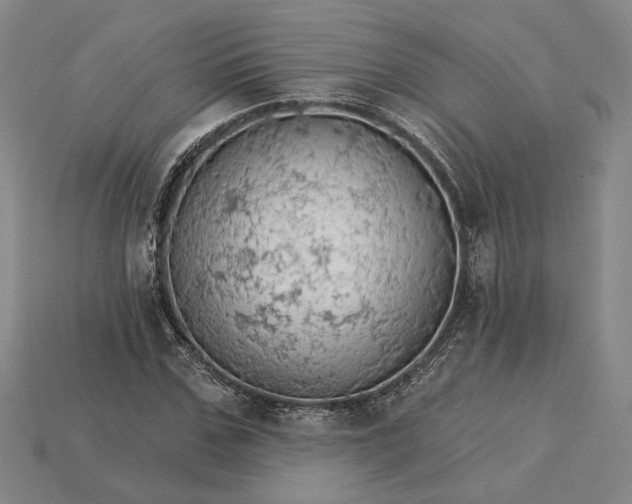 X0000115270971200911131804