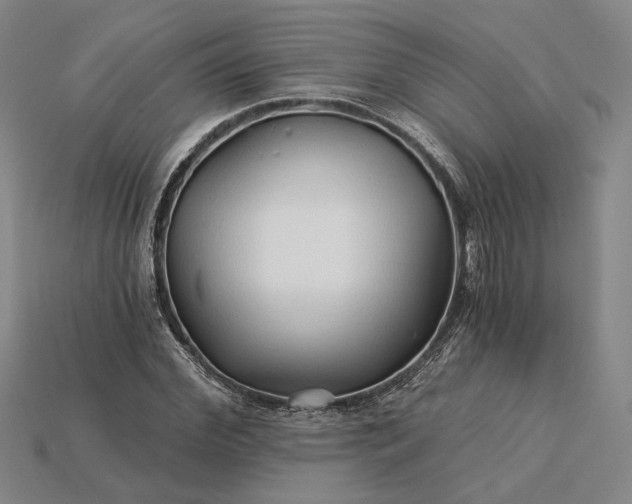 X0000115270972200911131804