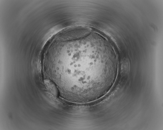 X0000115270973200911131804