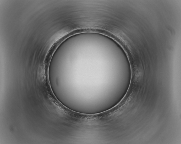 X0000115270974200911131804