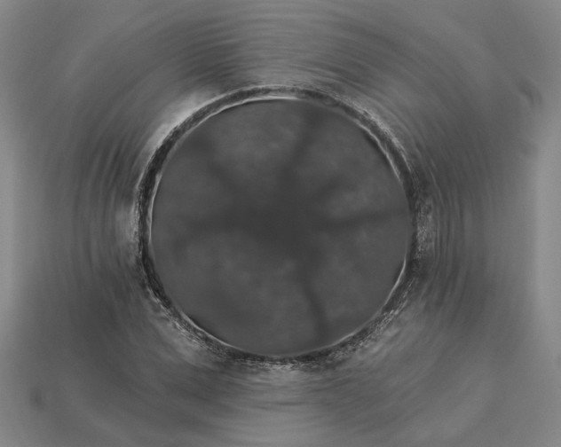 X0000115270975200911131804