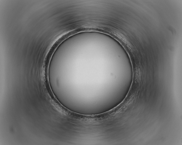 X0000115270976200911131804
