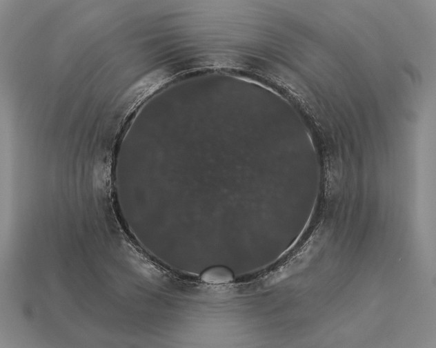 X0000115270977200911131804