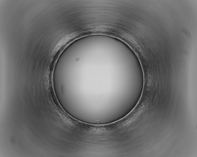 X0000115270978200911131804