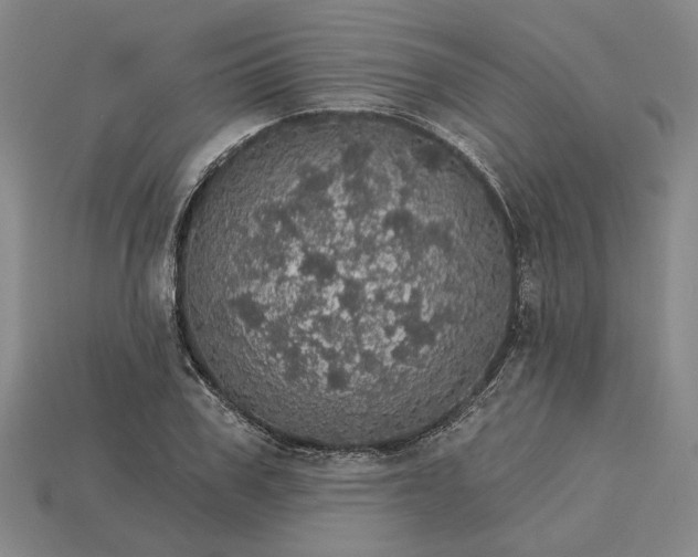 X0000115270979200911131804