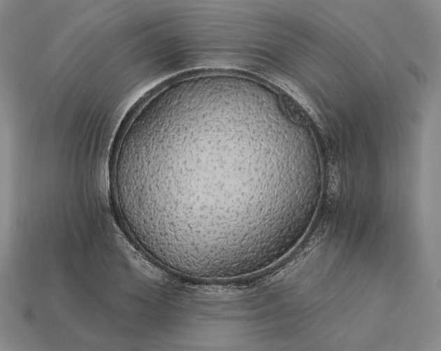 X0000115270980200911131804