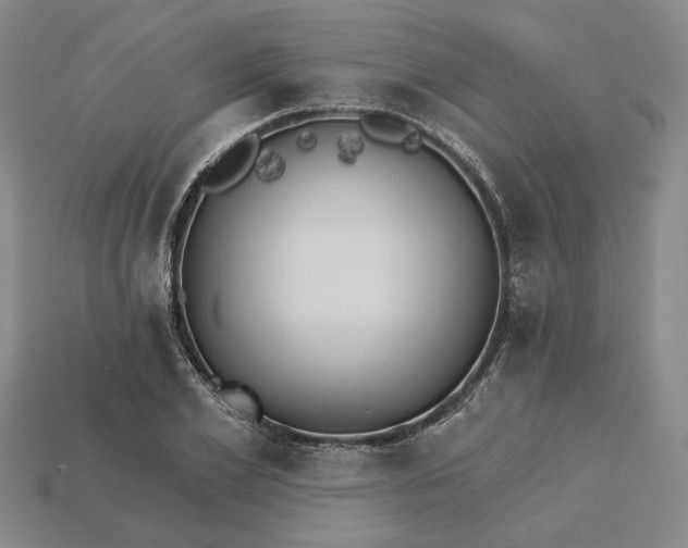 X0000115270981200911131804