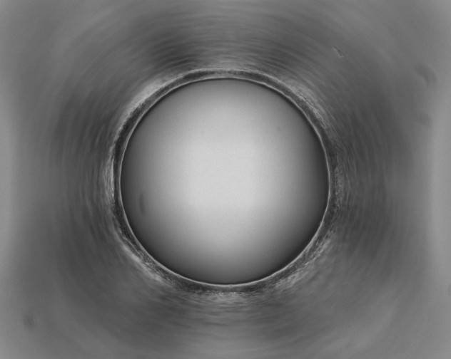 X0000115270982200911131804