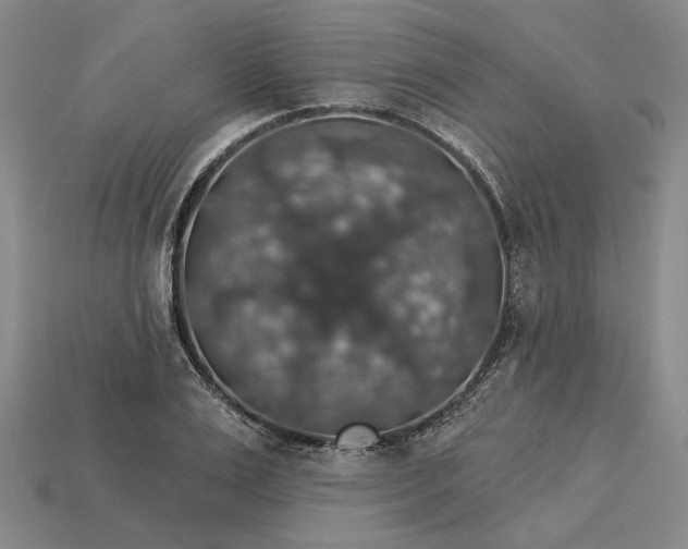 X0000115270983200911131804