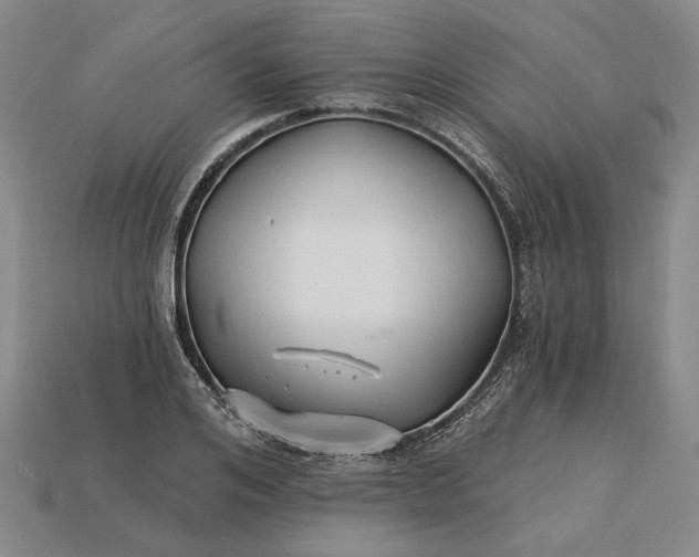X0000115270984200911131804