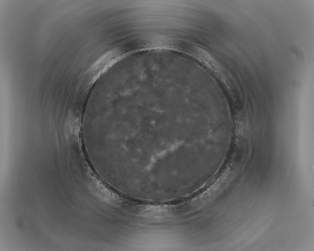 X0000115270985200911131804