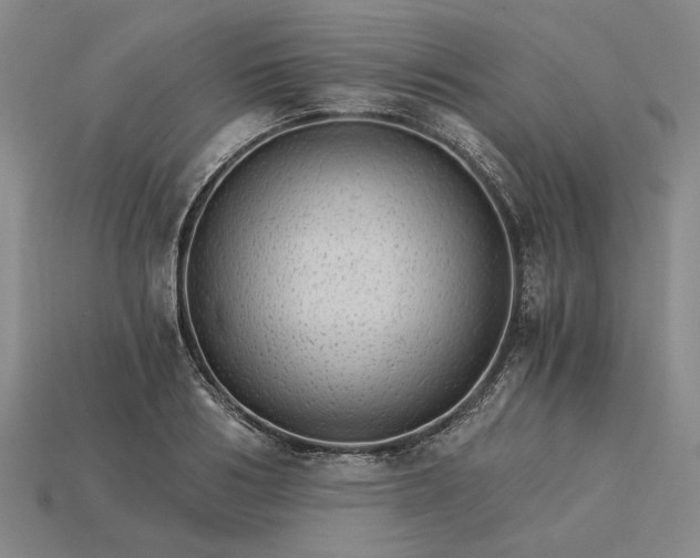 X0000115270986200911131804