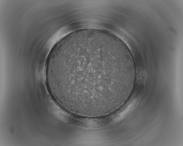 X0000115270987200911131804