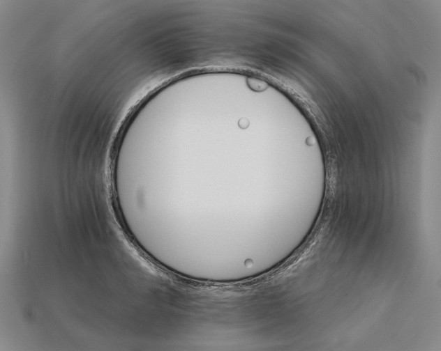X0000115270990200911131804