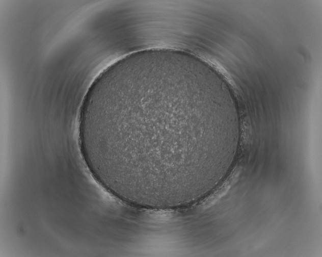 X0000115270991200911131804