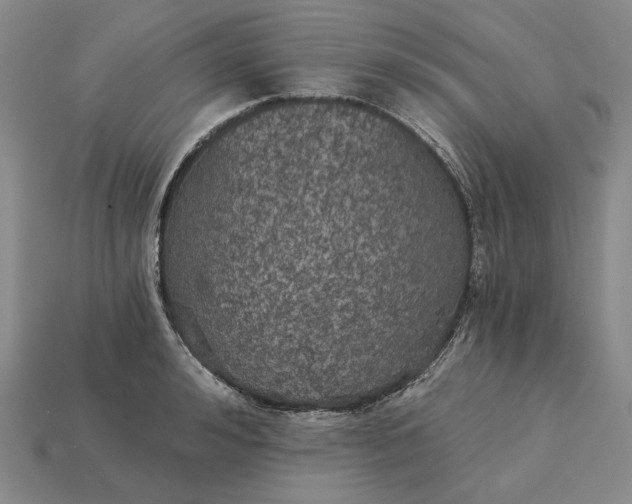X0000115270992200911131804