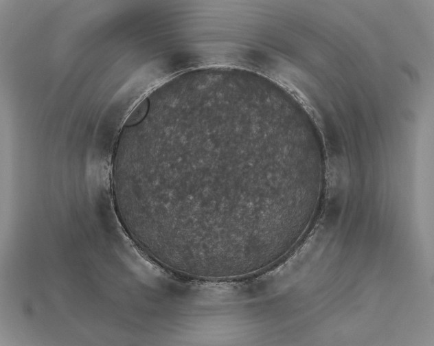 X0000115270993200911131804