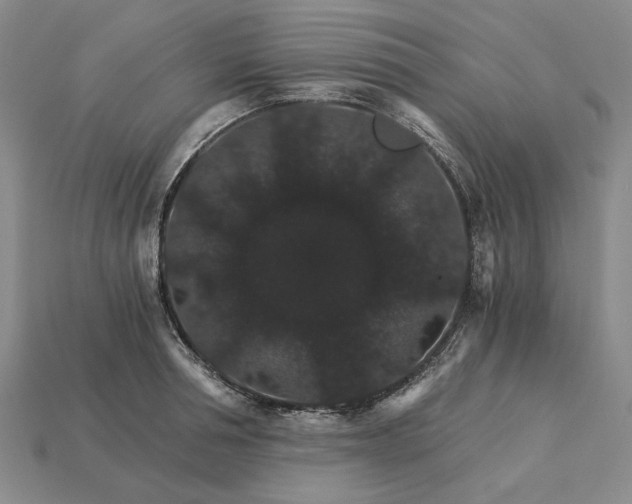 X0000115270994200911131804