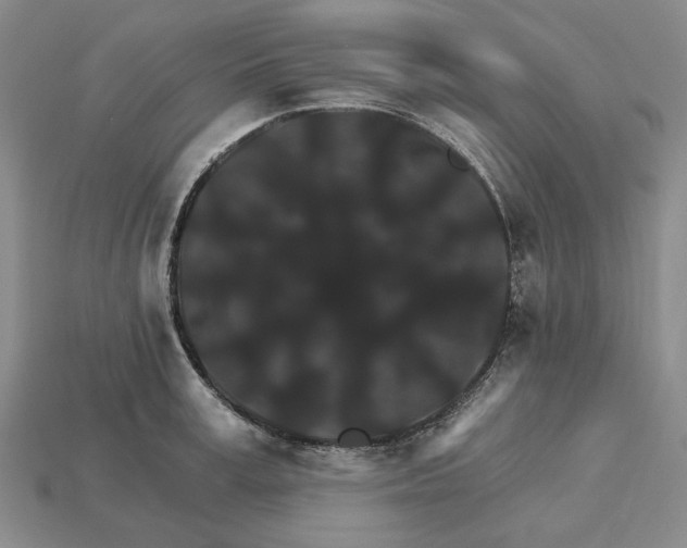 X0000115270995200911131803