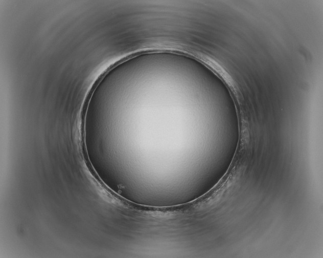 X0000115270996200911131803