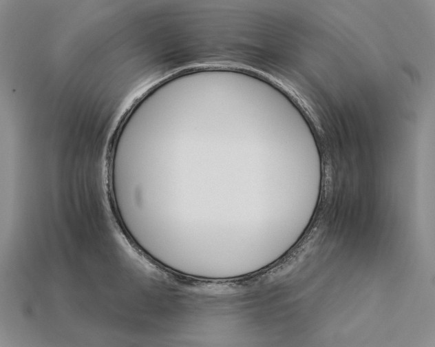 X0000115270998200911131803