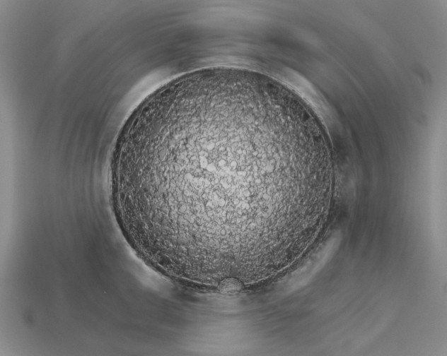 X0000115270999200911131803