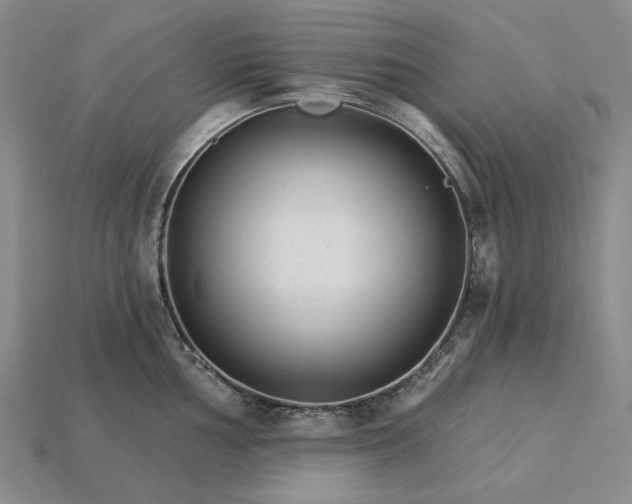 X0000115271002200911131803