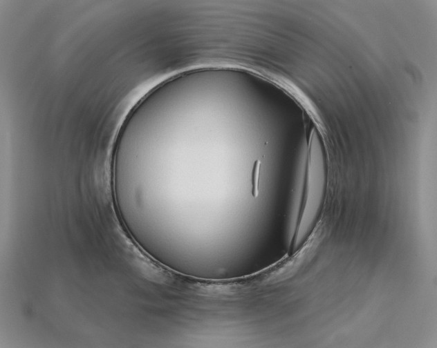 X0000115271004200911131803