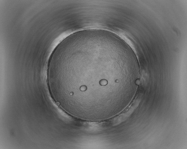 X0000115271005200911131803