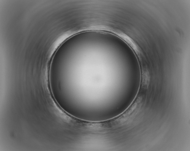 X0000115271006200911131803