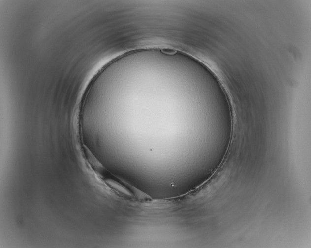 X0000115271008200911131803