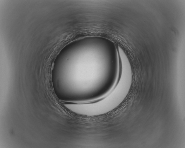 X0000115271009200911131803