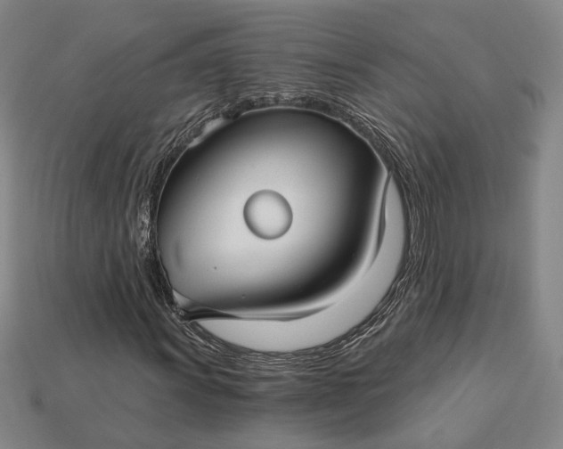 X0000115271011200911131803
