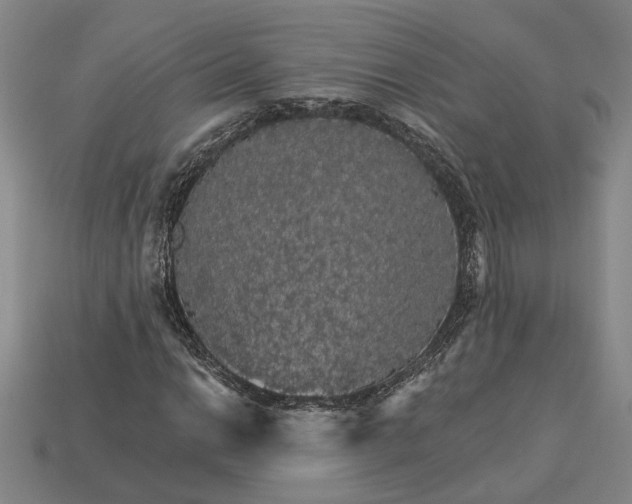 X0000115271014200911131803