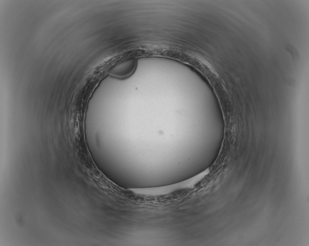X0000115271016200911131803