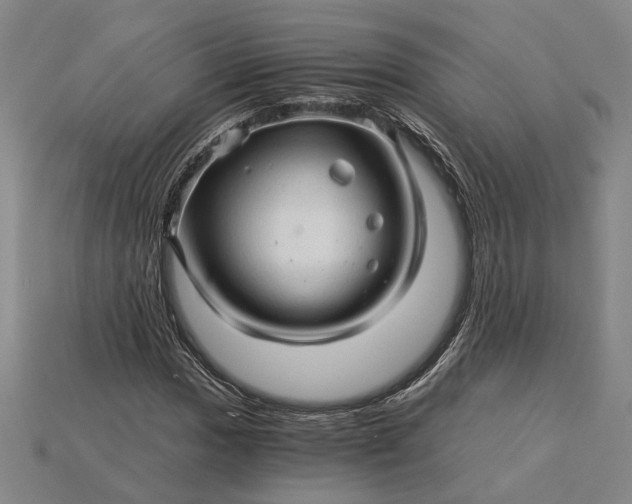 X0000115271017200911131803