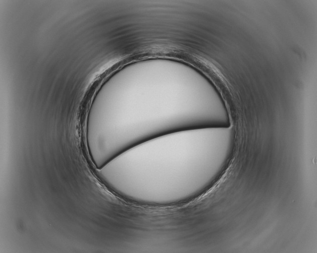 X0000115271018200911131803