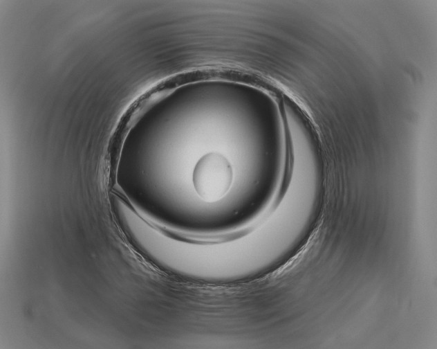 X0000115271021200911131803