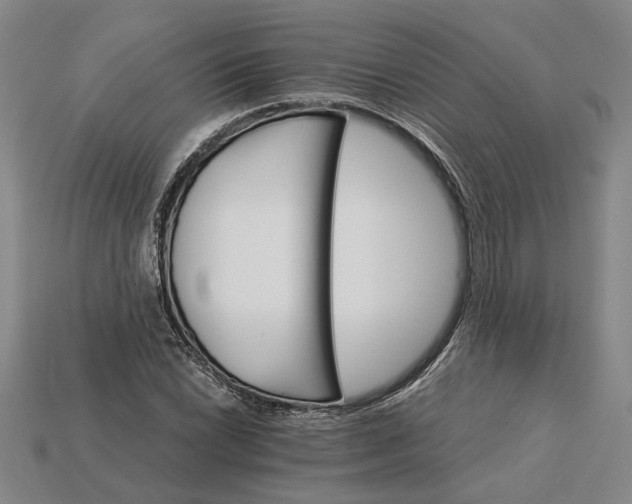 X0000115271022200911131803
