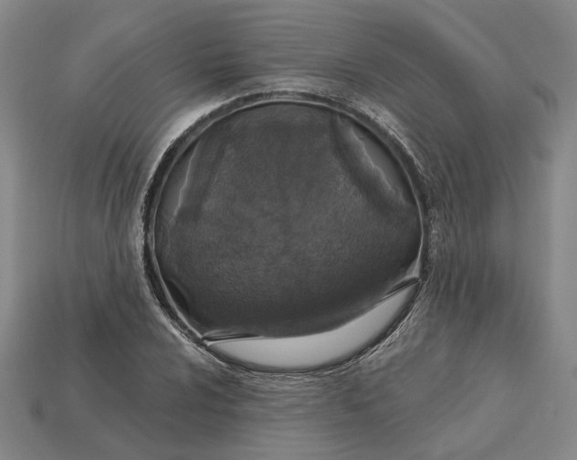X0000115271024200911131803