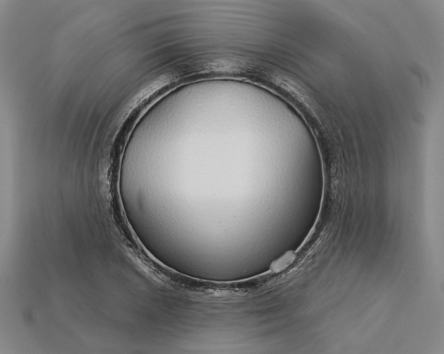 X0000115271026200911131803