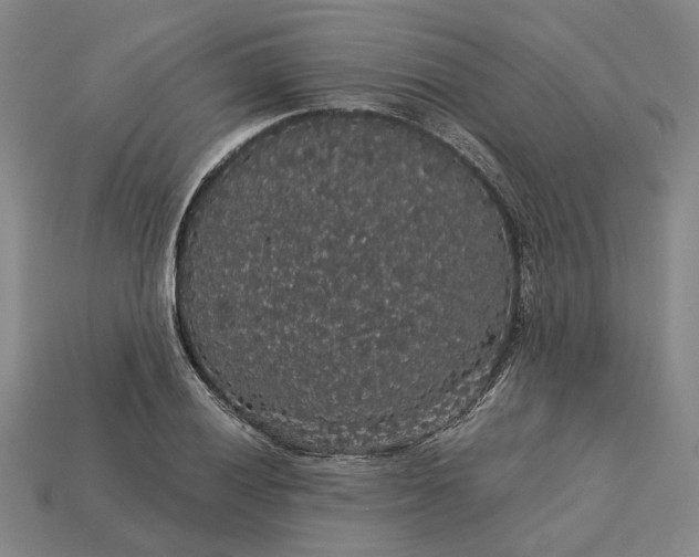 X0000115271028200911131803