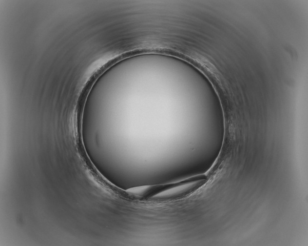 X0000115271030200911131803