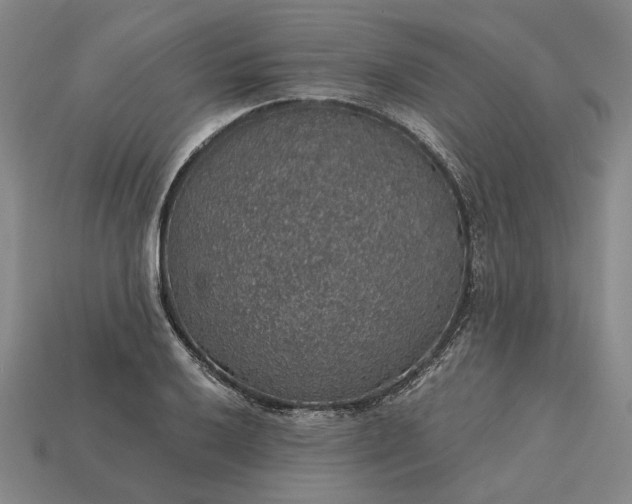 X0000115271032200911131803