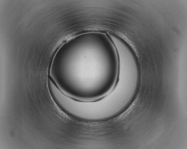 X0000115271033200911131803